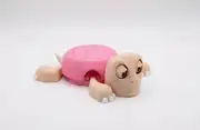 Pembe kabuklu kaplumbağa bardak altlığı, yandan görünüm